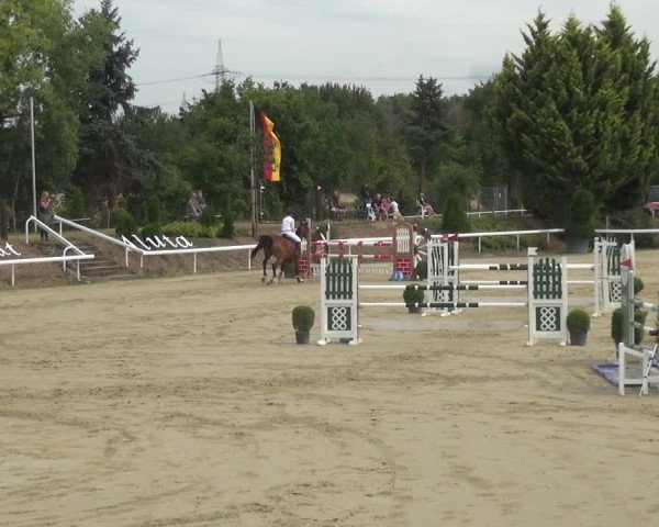 Reitturnier Bornheim-Widdig 2020