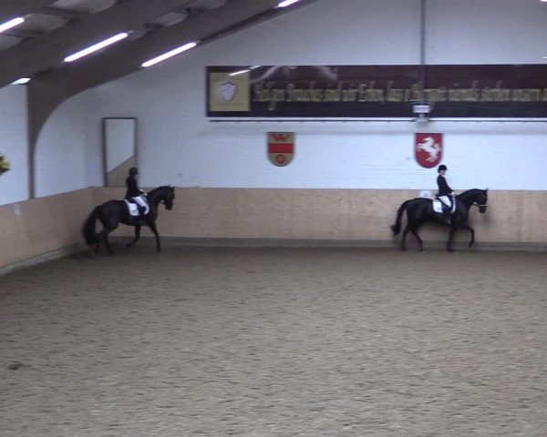 Reitturnier Olfen-Vinnum 2020