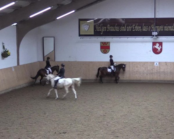 Reitturnier Olfen-Vinnum 2020