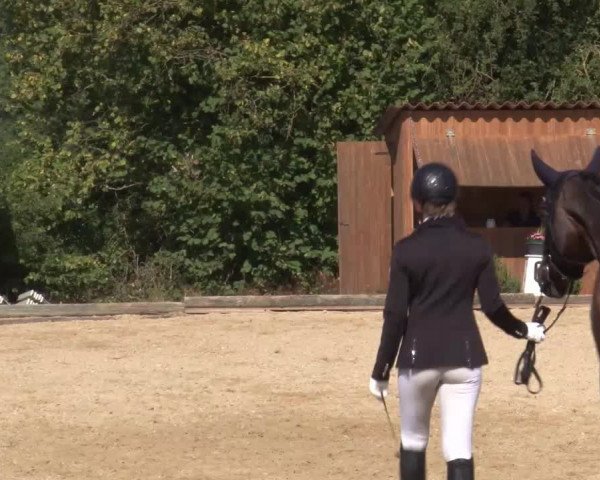 Reitturnier Brünst/Mfr. 2020