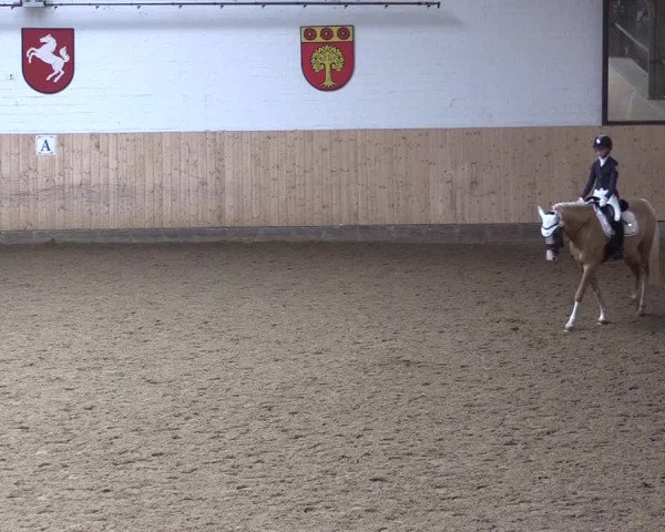 Reitturnier Olfen-Vinnum 2020