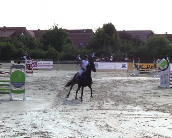 Reitturnier Ascheberg 2021