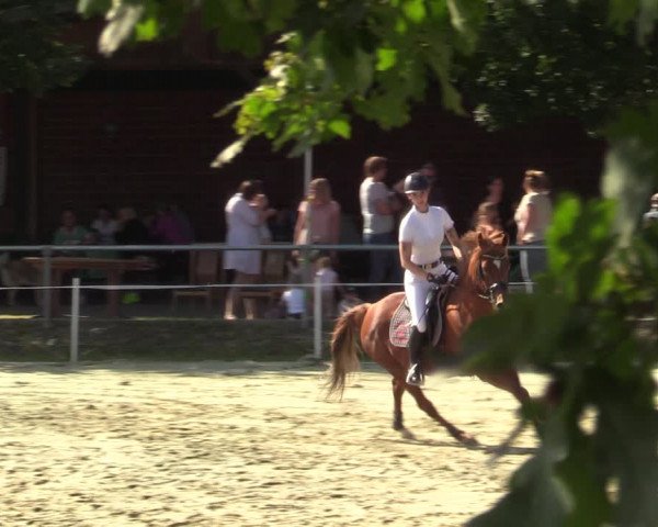 Reitturnier Ascheberg 2021