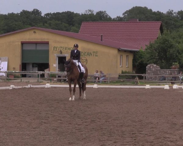 Reitturnier Altlandsberg 2020