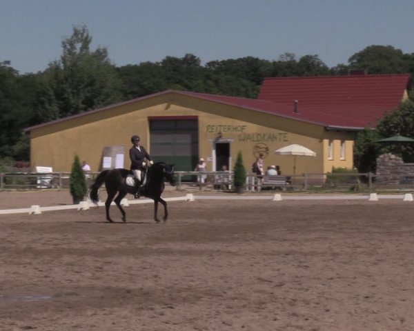 Reitturnier Altlandsberg 2020