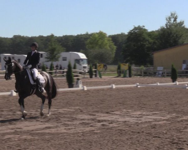 Reitturnier Altlandsberg 2020