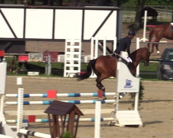 Reitturnier Hamm-Rhynern 2020