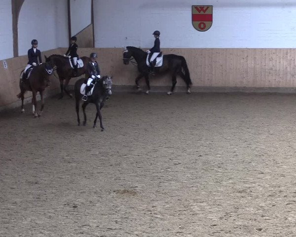 Reitturnier Olfen-Vinnum 2020