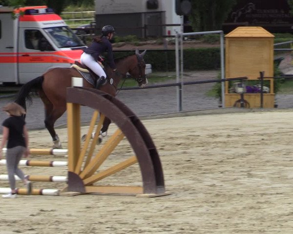 Reitturnier Hamm-Rhynern 2020
