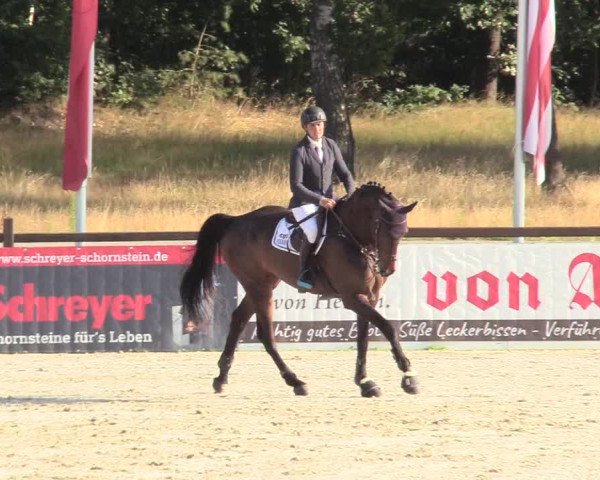 Reitturnier Westergellersen 2020