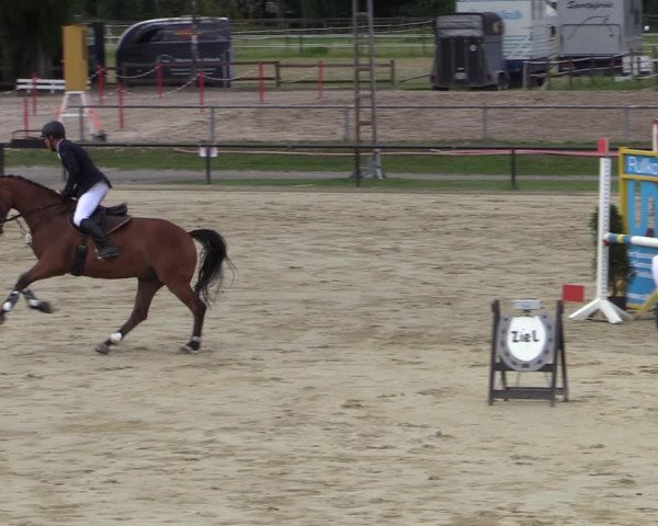 Reitturnier Hamm-Rhynern 2020