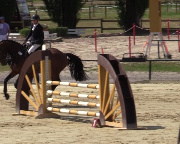 Reitturnier Hamm-Rhynern 2020
