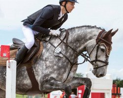 jumper Che Bella (Holsteiner, 2009, from Ab 19 Chepetto)
