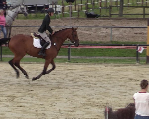 Reitturnier Hamm-Rhynern 2020