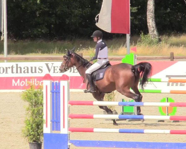 Reitturnier Westergellersen 2020