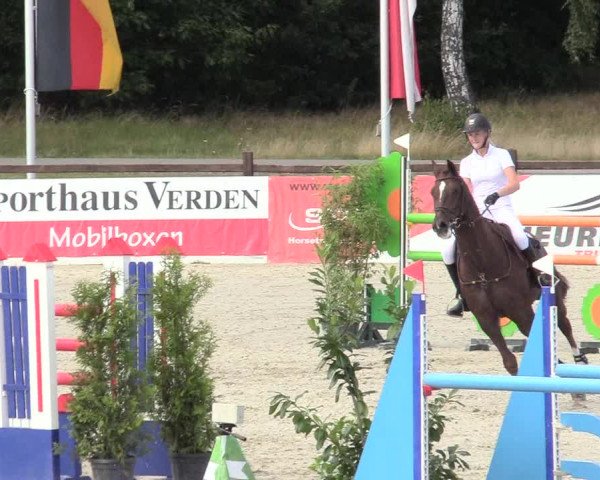 Reitturnier Westergellersen 2020