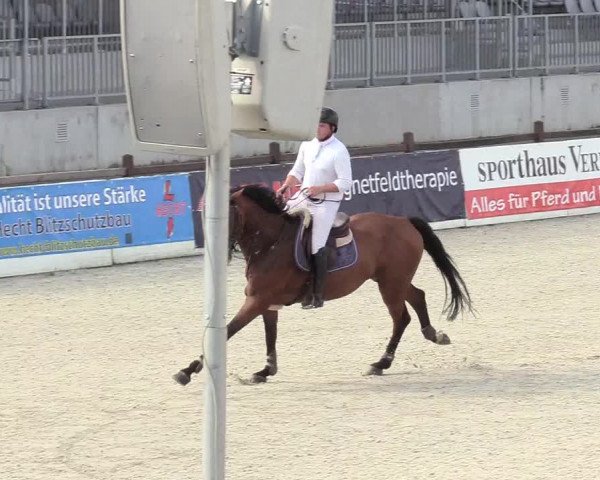 Reitturnier Westergellersen 2020