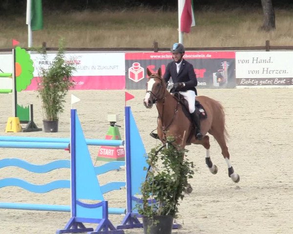 Reitturnier Westergellersen 2020