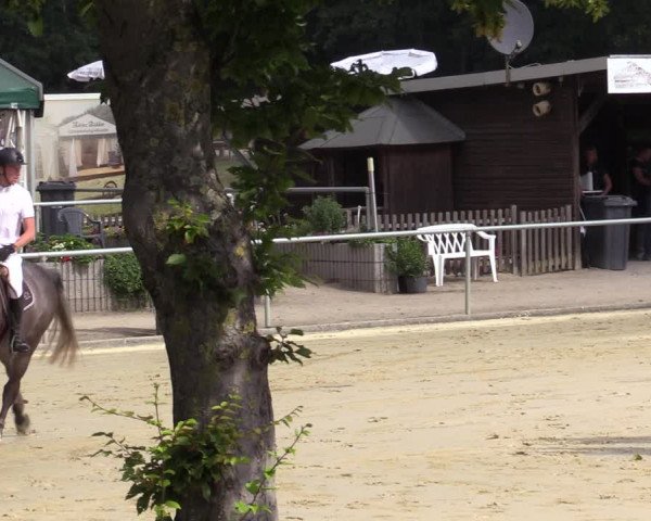 Reitturnier Olfen-Vinnum 2020