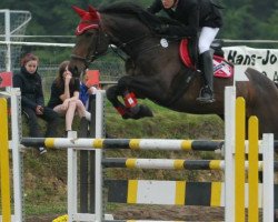 jumper Felice (German Sport Horse, 2004, from Corton)