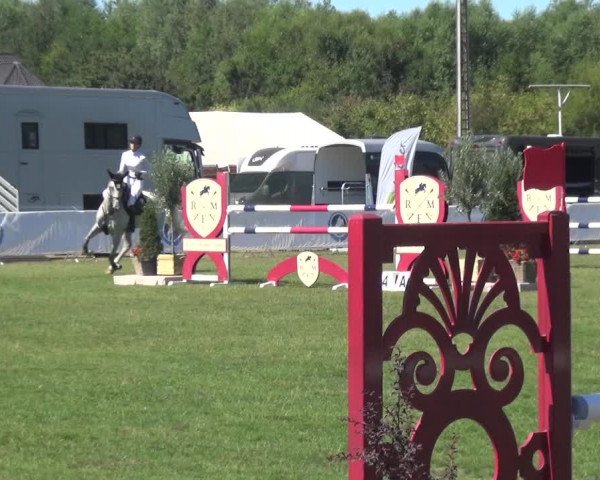 FEI Reitturnier Eschweiler (GER) 2020