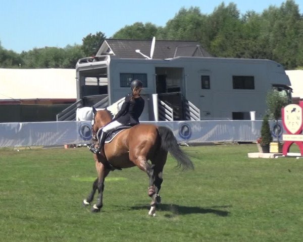FEI Reitturnier Eschweiler (GER) 2020