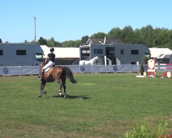 FEI Reitturnier Eschweiler (GER) 2020