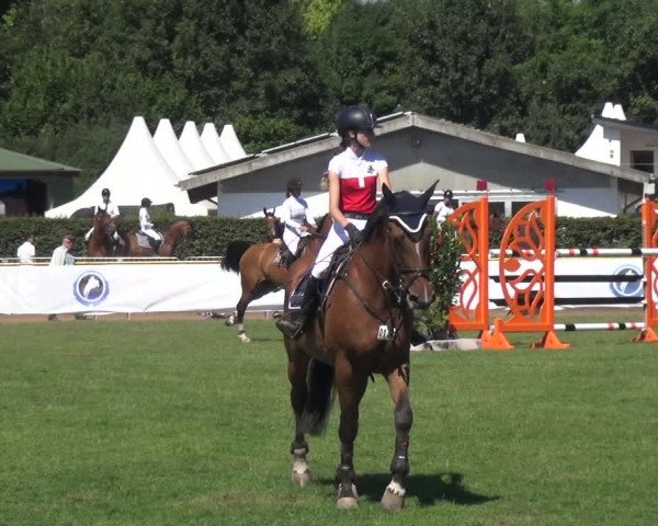 FEI Reitturnier Eschweiler (GER) 2020