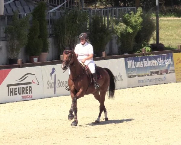 Reitturnier Westergellersen 2020