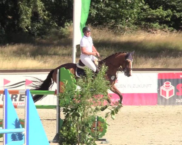 Reitturnier Westergellersen 2020