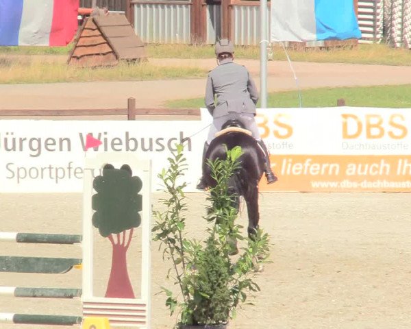 Reitturnier Westergellersen 2020