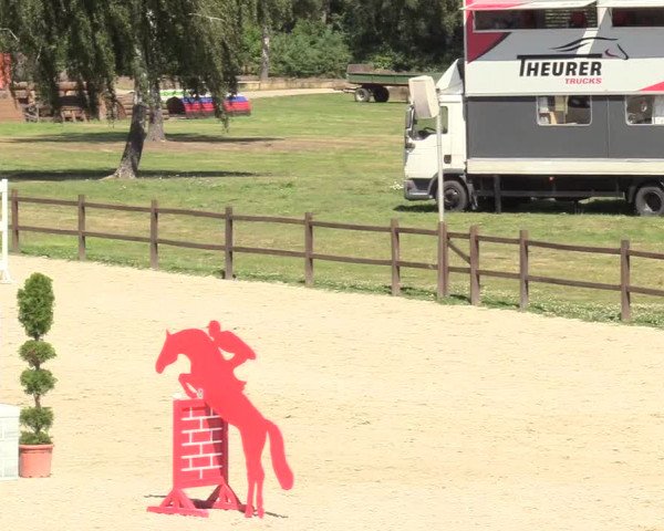 Reitturnier Westergellersen 2020