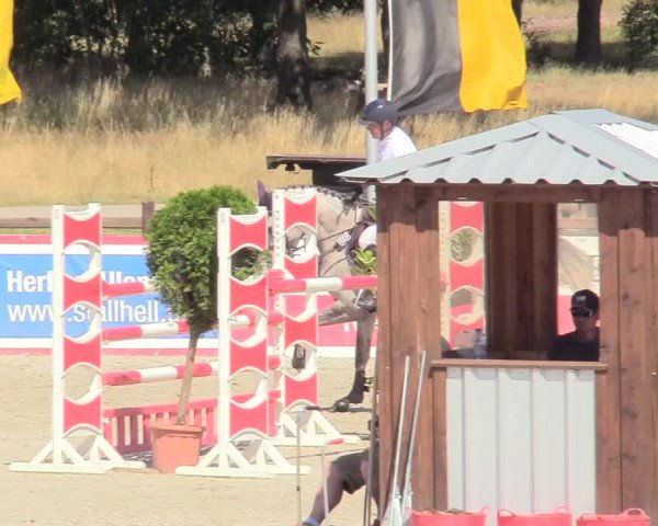 Reitturnier Westergellersen 2020