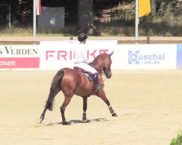 Reitturnier Westergellersen 2020