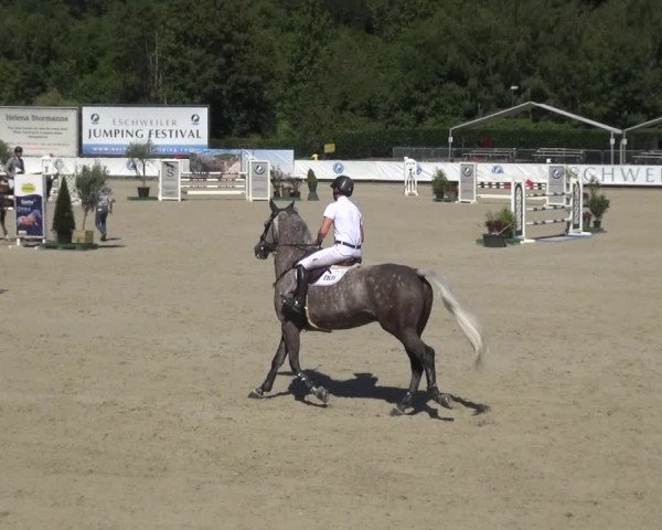 FEI Reitturnier Eschweiler (GER) 2020
