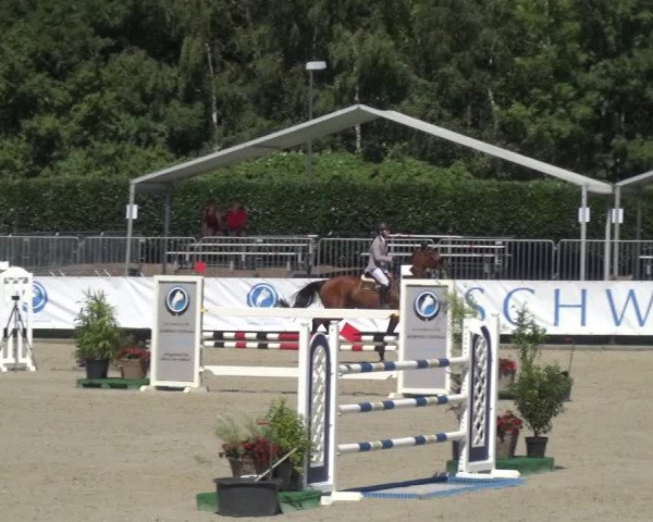 FEI Reitturnier Eschweiler (GER) 2020