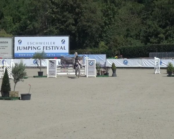 FEI Reitturnier Eschweiler (GER) 2020