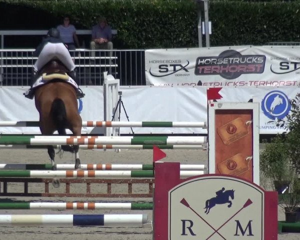 FEI Reitturnier Eschweiler (GER) 2020