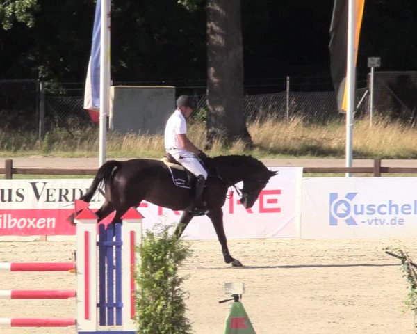 Reitturnier Westergellersen 2020