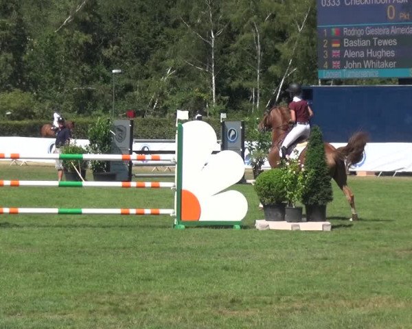 FEI Reitturnier Eschweiler (GER) 2020