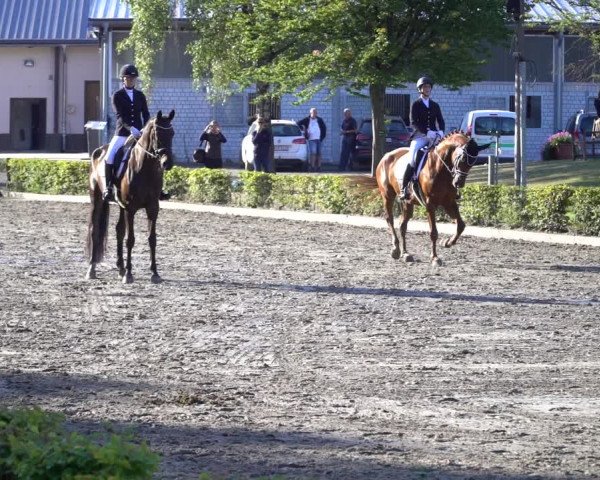 Reitturnier Olfen-Vinnum 2020