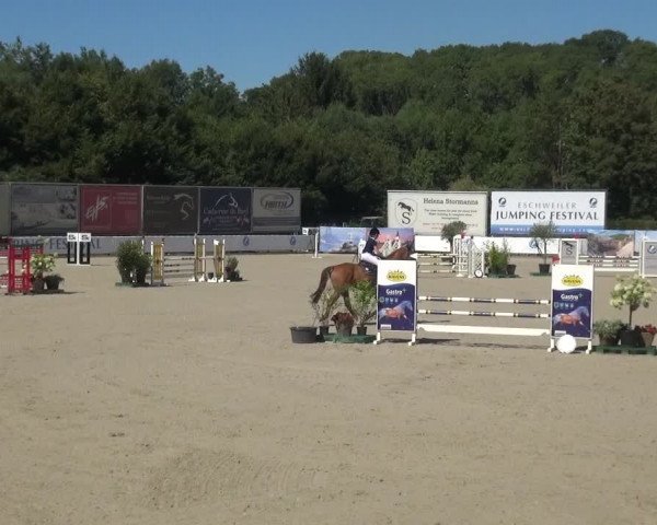 FEI Reitturnier Eschweiler (GER) 2020