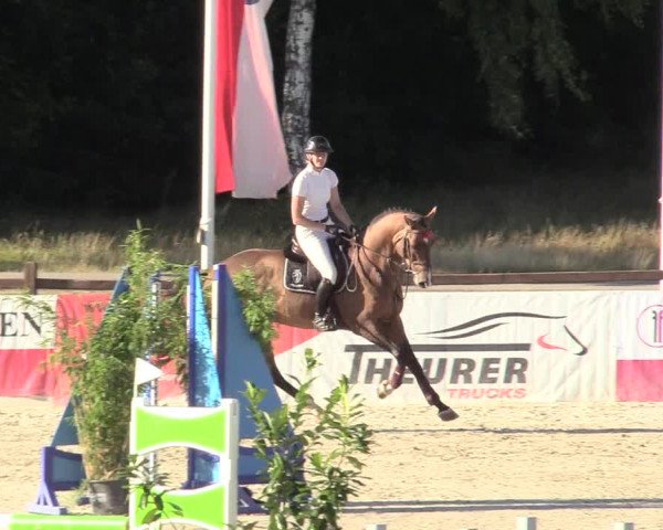 Reitturnier Westergellersen 2020