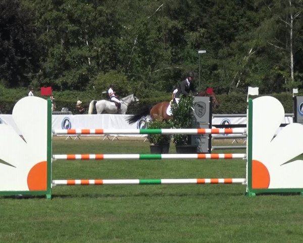 FEI Reitturnier Eschweiler (GER) 2020