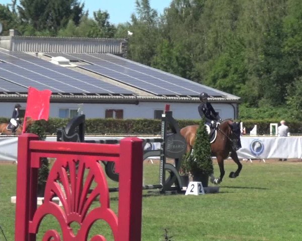 FEI Reitturnier Eschweiler (GER) 2020