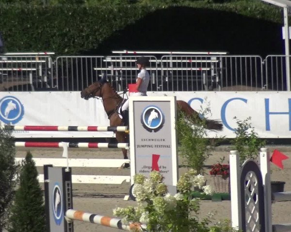 FEI Reitturnier Eschweiler (GER) 2020