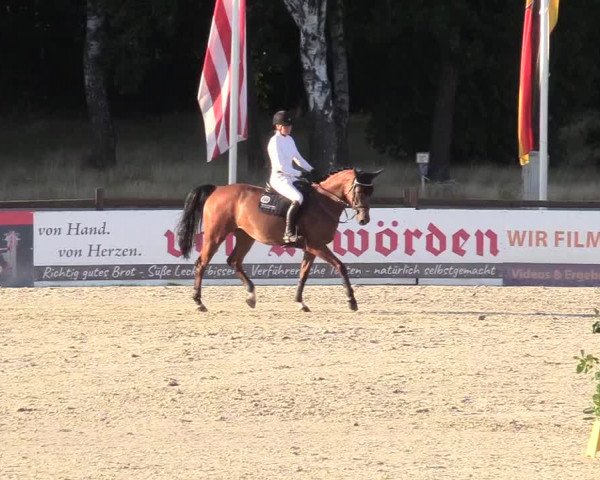 Reitturnier Westergellersen 2020