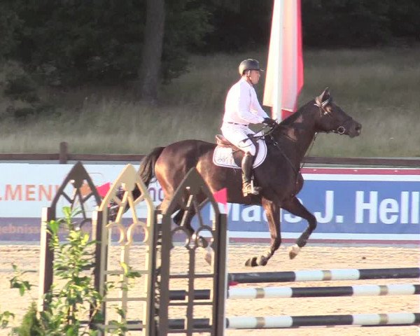 Reitturnier Westergellersen 2020