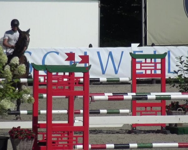 FEI Reitturnier Eschweiler (GER) 2020