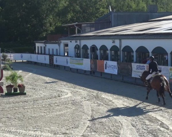 FEI Reitturnier Eschweiler (GER) 2020
